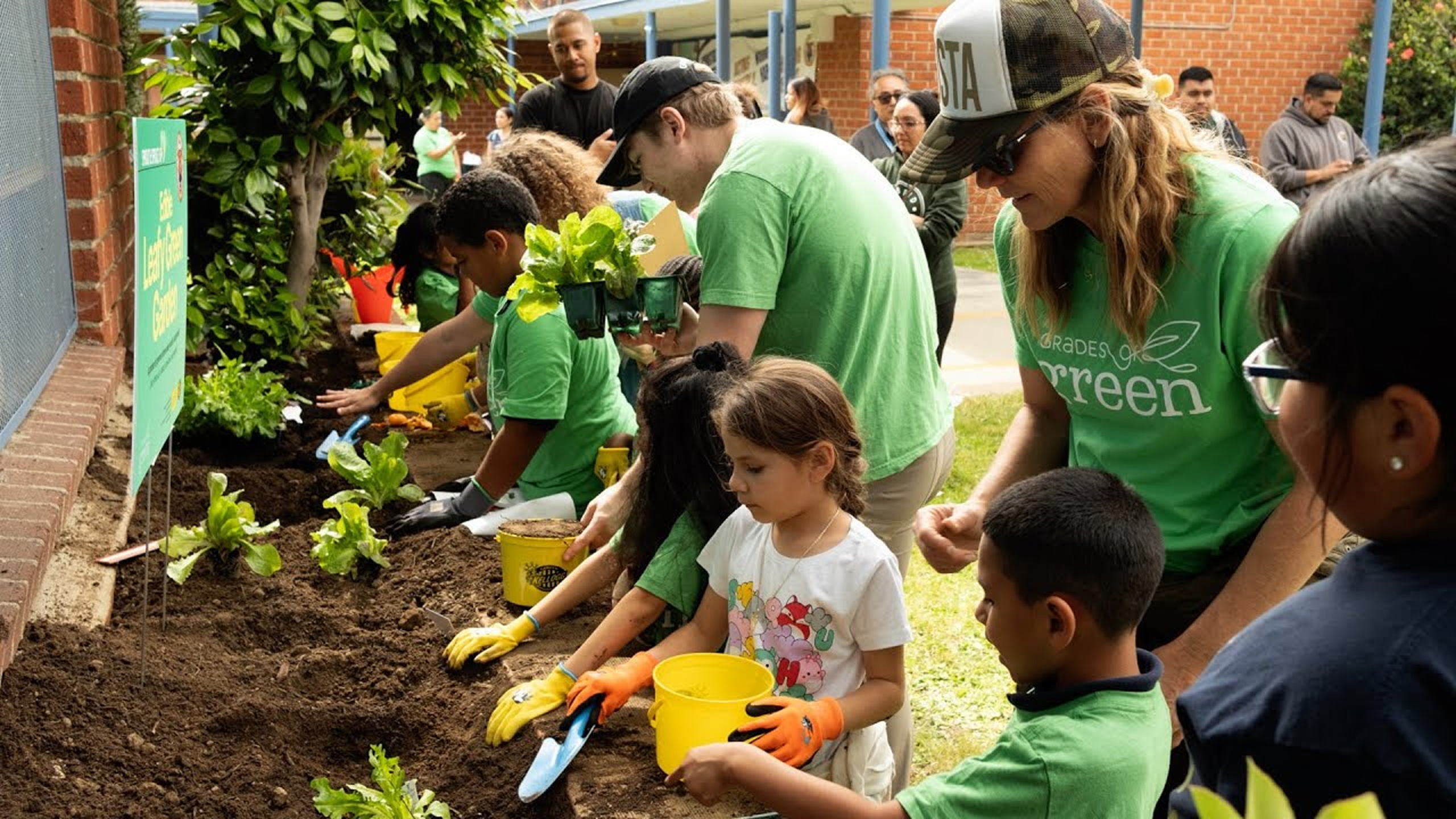 Grades of Green volunteers working in a garden